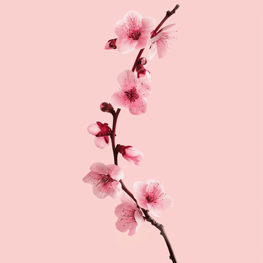 Pink Simplicity 30x30cm - Diamond Painting